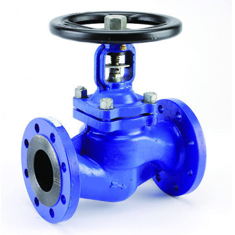 Globe Valves from the BAODUN catalog