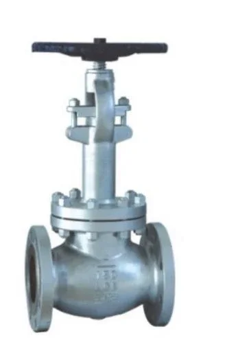 ANSI Cryogenic Globe Valve