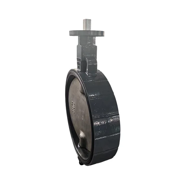 PN16 DN600 Double Shaft Wafer Butterfly Valve