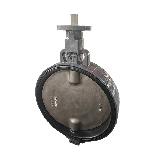 PN16 DN600 Double Shaft Wafer Butterfly Valve product view