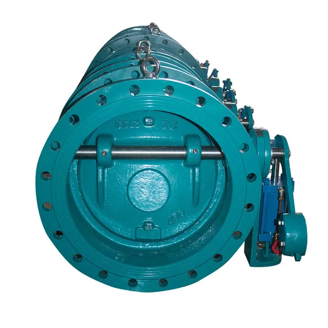 Tilting Check Valve product view
