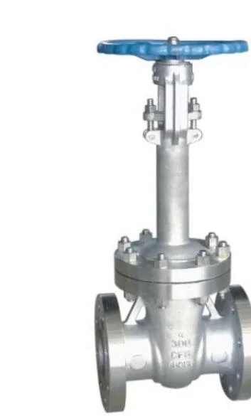 ANSI Cryogenic Gate Valve