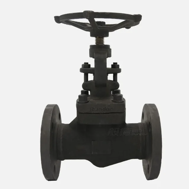 J41H Globe Valve product view