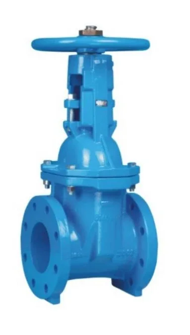 Rising-Stem Rubber-Seated Gate Valve