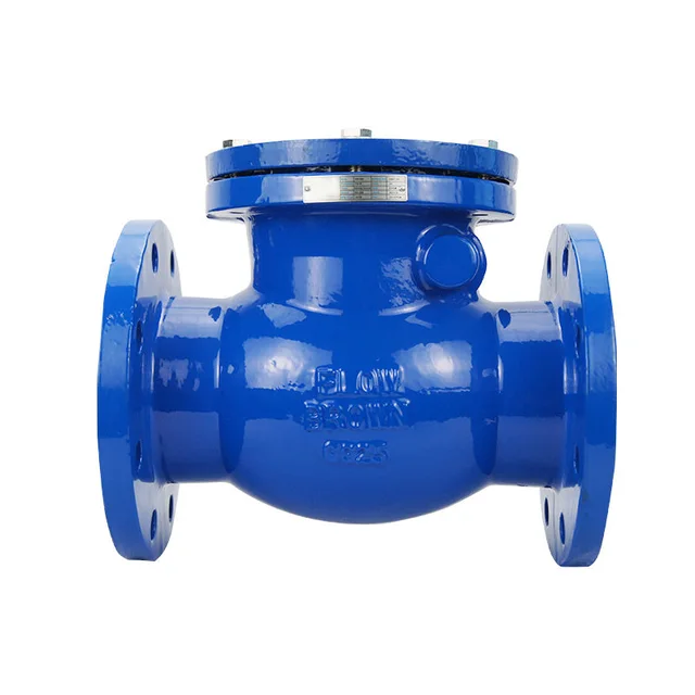Swing Check Valve product view