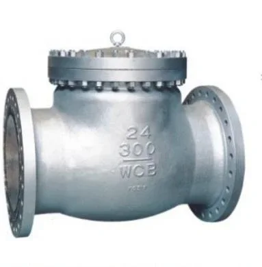 ANSI Check Valve