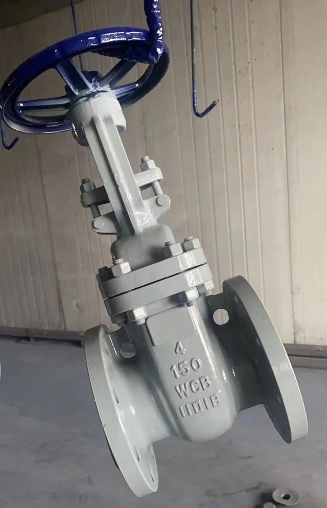 ASME 150lb/600lb WCB Cast Steel Gate Valve application view