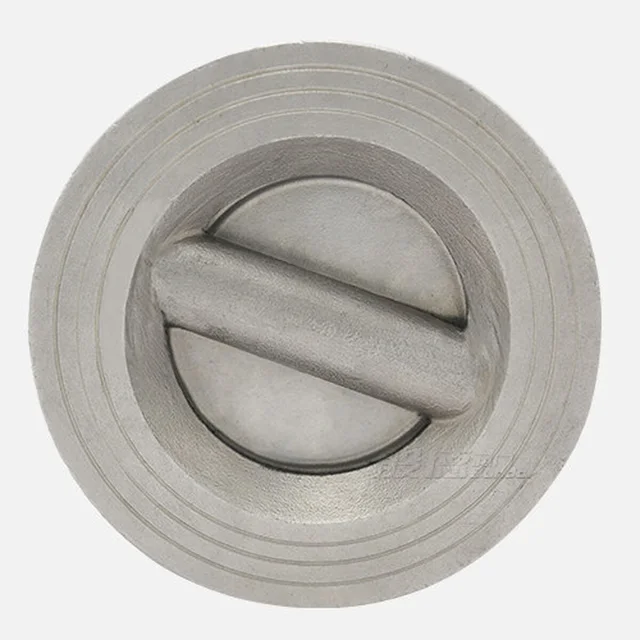DN100 Check Valve