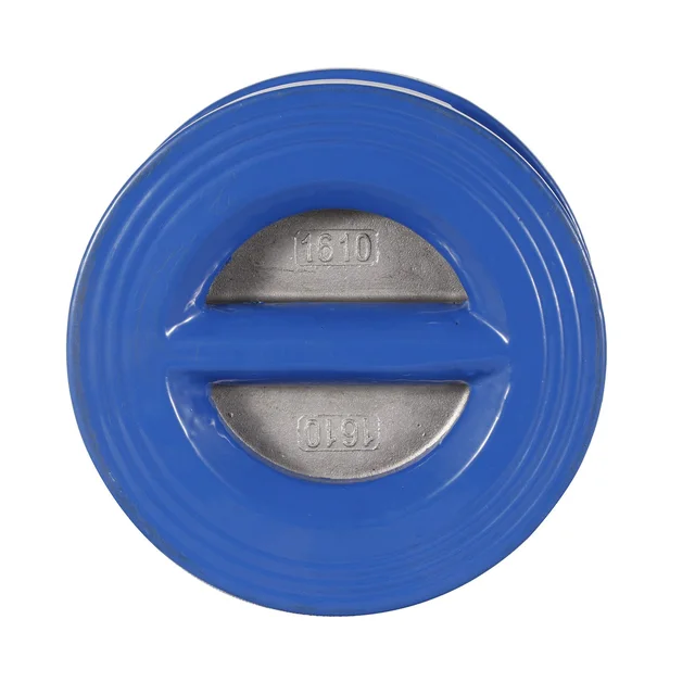 Dual Plate Wafer Check Valve product view