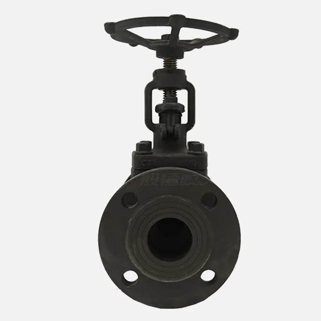 J41H Globe Valve