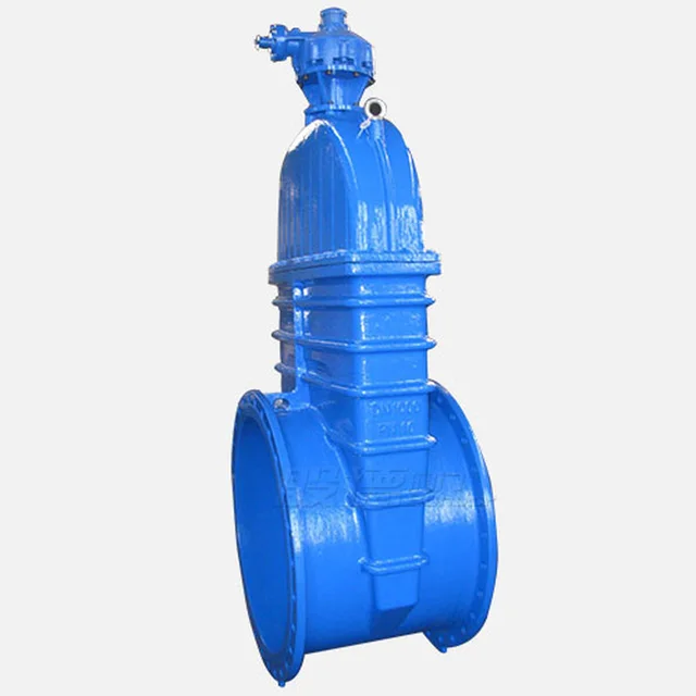 DN1000 Gate Valve technical drawing