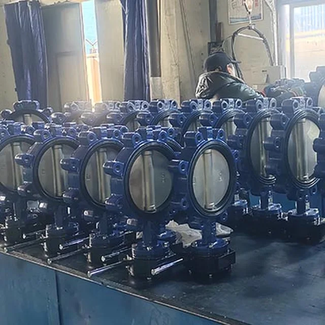 Class 150 C95800/C958 Disc Lug Butterfly Valve DN250 with Soft Seat application view