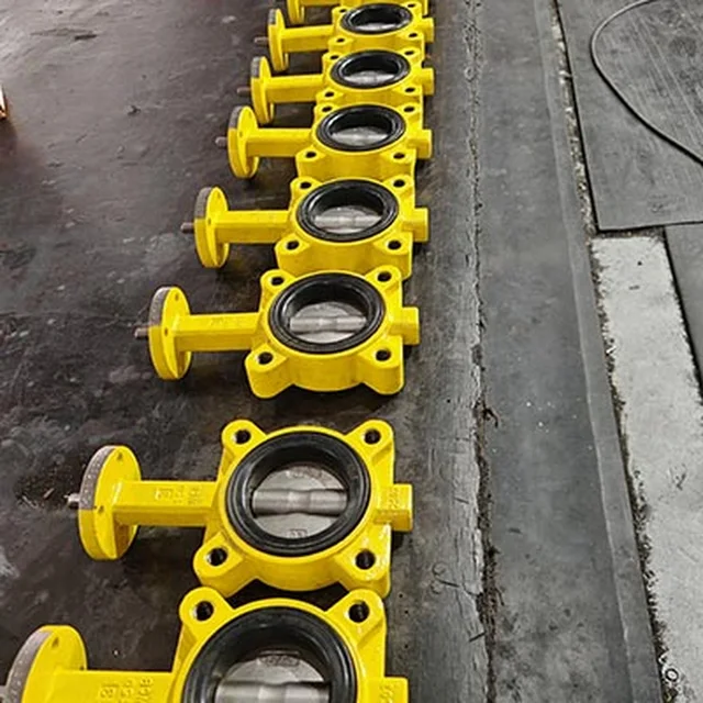 Replaceable Seat CF8M Disc Lug Butterfly Valve DN250 PN10 10Inch application view
