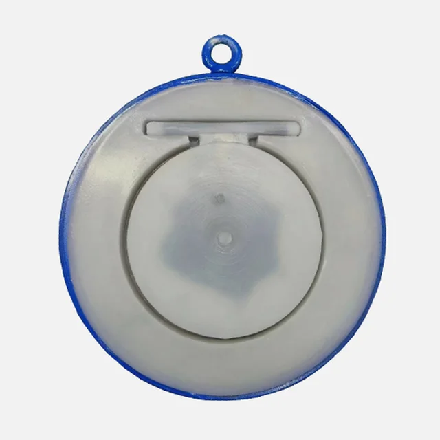 H74F46-10C Check Valve