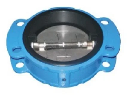 Rubber-Coated Check Valve