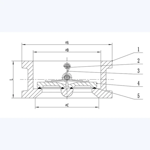 DH77X-16Q Check Valve technical drawing