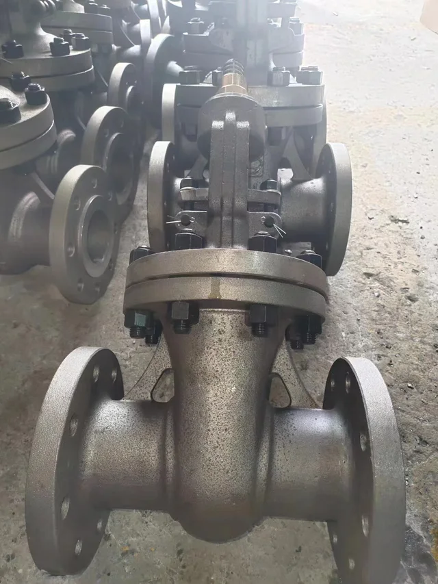 30s41nj GOST 12820-80 PN16 PN40 Gate Valve application view