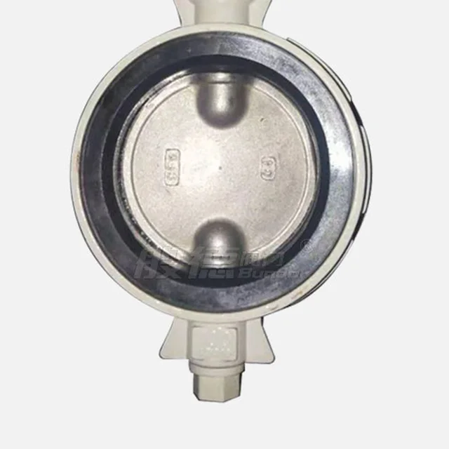 D371X-10 Butterfly Valve product view
