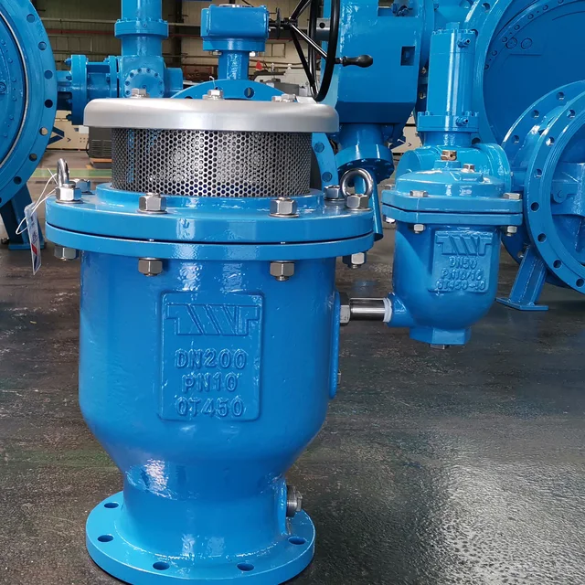 GGG50 DN200 PN10 Air Release Valve application view