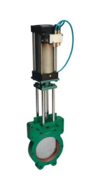 Slurry Gate Valve