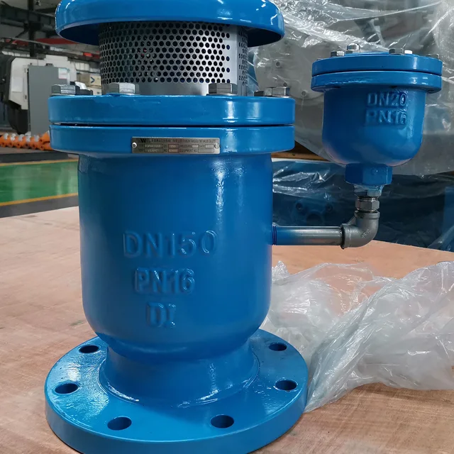 GGG50 DN200 PN10 Air Release Valve application view