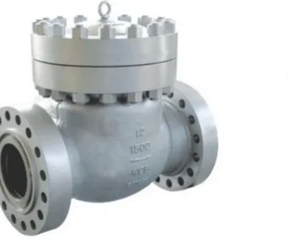 ANSI Cryogenic Check Valve