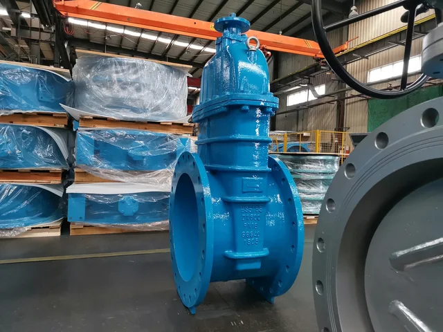 DN600 GGG40/GGG50 Ductile Iron Flange Resilient Non-Rising Stem Gate Valve application view